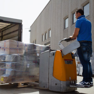 Un sistema di trasporto internazionale al tuo servizio, puntuale e affidabile: la merce viaggia in tutta sicurezza con una tracciabilità costante del singolo bancale in ogni passaggio. Trattamento differenziato per tipologia di servizio e di pallet. Ritiri/consegne con sponda idraulica. Gestione bancali a rendere. Servizio di facchinaggio. Gestione merce